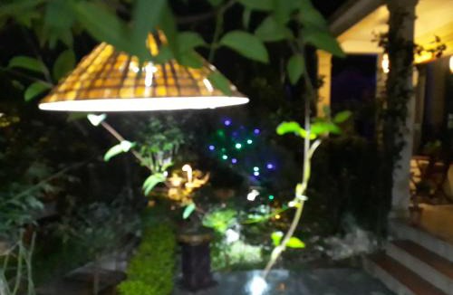 Ninh Binh House | An Phu Homestay