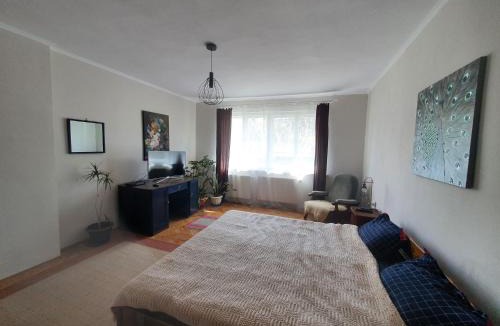 Sfantu Gheorghe Apartment | Andrea apartman