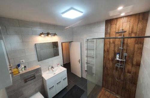Sfantu Gheorghe Apartment | Andrea apartman