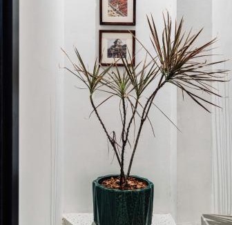 District 3 House | Anh Garden phòng ban công tầng 3