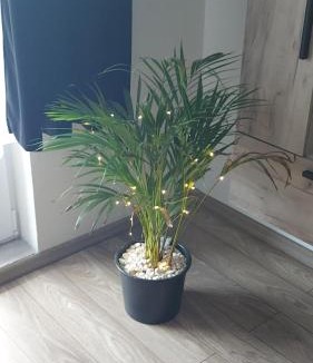 Fagaras Apartment | Apartament AntoniaS