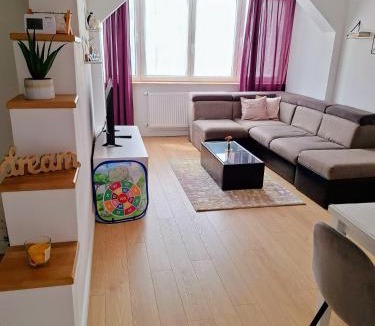 Viseu de Sus Apartment | Apartament Central
