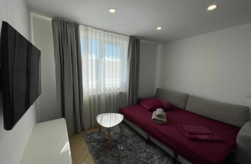 Sangeorz-Bai Apartment | APARTAMENT ULTRACENTRAL,PARCARE PRIVATA,WiFi