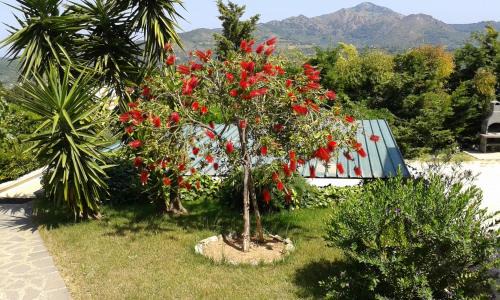 Capoliveri Apartment | Apartment in villa 2 to 4 persons with large garden stella