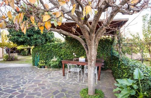 Marciana Marina Apartment | Appartamenti Marciana Marina - Goelba