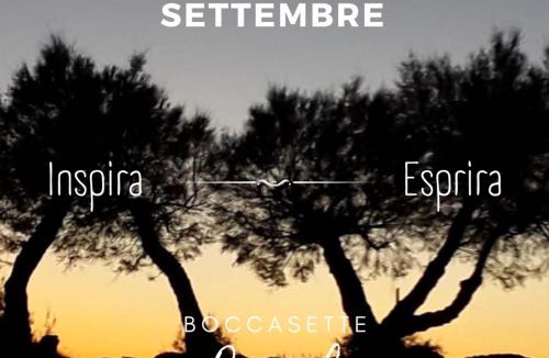 Porto Tolle Apartment | Appartamento Lavanda - Casa vacanza nel Delta del Po