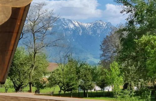 Bran Villa | Ara Chalet