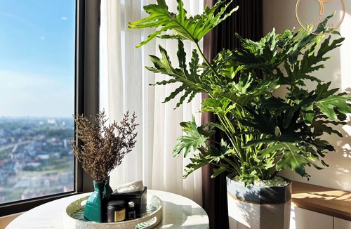 Van Giang Apartment | Armin Homestay Ecopark