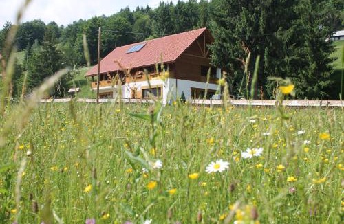 Arieseni House | Arnica Montana