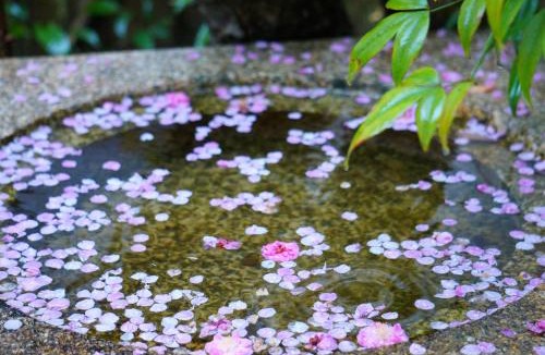 Ikoma Bed & Breakfast | Atelier Bee's Knees Bed & Breakfast