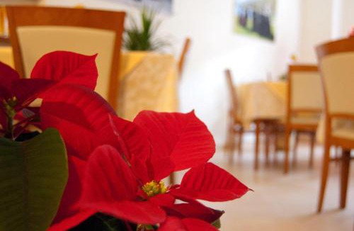 Scanno Bed & Breakfast | B&B Angela