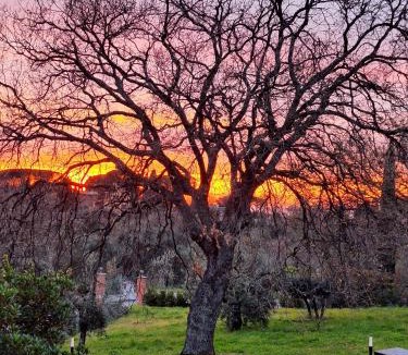 Monte Porzio Catone Bed & Breakfast | B&B Bee