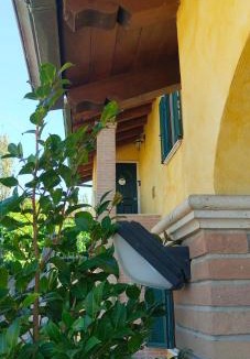Palestrina Apartment | B&B Camera delle Camelie