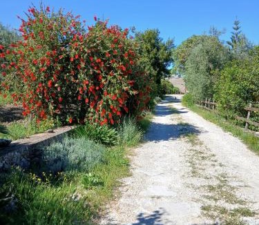 Spigno Saturnia Bed & Breakfast | B&B Da Mariella