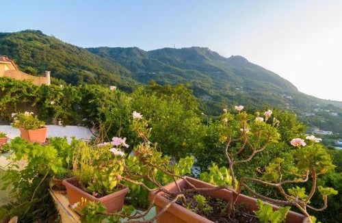 Casamicciola Terme Bed & Breakfast | B&B Giardini di Iside e Osiride
