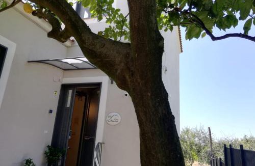 Torre del Greco Bed & Breakfast | B&B Guest Armonie