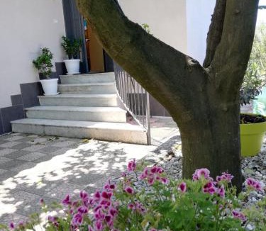 Torre del Greco Bed & Breakfast | B&B Guest Armonie