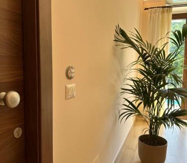 Vairano Patenora Bed & Breakfast | B&B I Greci