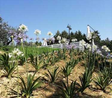 Castorano Bed & Breakfast | B&B Il Gelso Country House