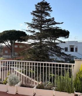 Ardea Apartment | b&b la terrazza