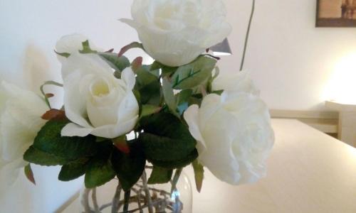 Zona XXXIII Acilia Sud Bed & Breakfast | B&B Salviani