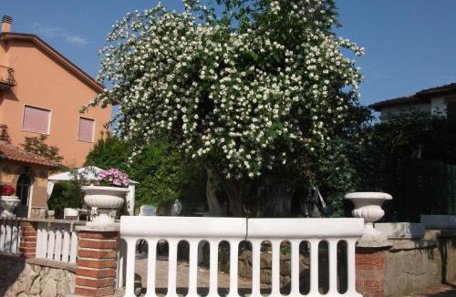 Marino Bed & Breakfast | B&B Vittoria Colonna