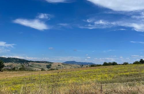 Melito Irpino Bed & Breakfast | Bed and Breakfast Dimora Peluso