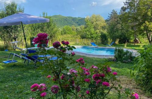 Gerano Bed & Breakfast | Bed And Breakfast Margherita & Home Restaurant