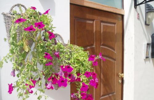 Montesilvano House | Bed And Roses