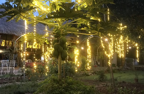 Cat Hai House | Bee Lucky Homestay