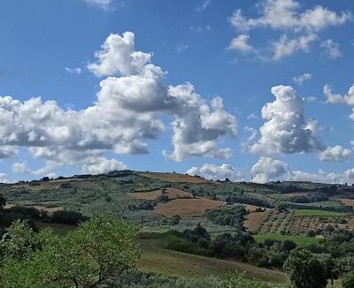 Monteodorisio Bed & Breakfast | Bel campà - B&B VEGANO IN CAMPAGNA