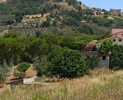 Monteodorisio Bed & Breakfast | Bel campà - B&B VEGANO IN CAMPAGNA