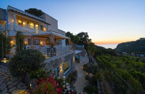 Lacco Ameno Bed & Breakfast | Belgodere di Mezzavia Apartments