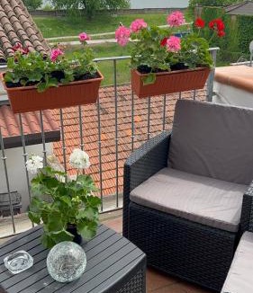 Mantua Apartment | Bellavista Mantova