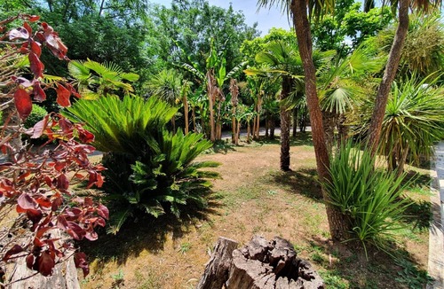 Zona LIV La Giustiniana Apartment | Belvilla by OYO Veio 3 pax