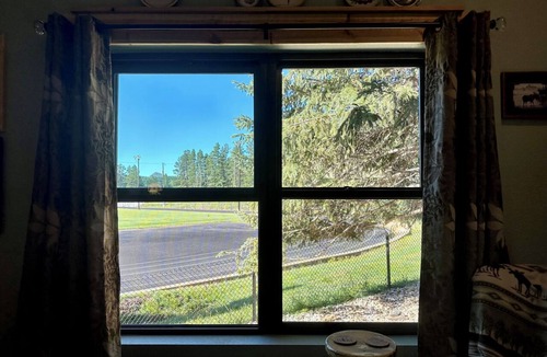 Hill City Cabin | Black Hills Home Cabins—ELOOSIVE MOOSE—in Hill City, near Lake, Mickelson Trail!