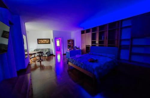 Albano Laziale House | Blue emotion, into wellness & wilderness