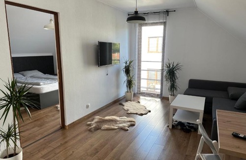 Odorheiu Secuiesc Apartment | Bokorlak 4
