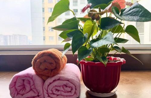 Tan Binh Apartment | Botanica Premire -Near Airport 5 Minutes -Luxury