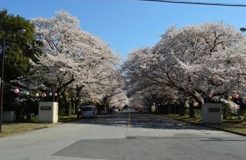 Abiko Apartment | Brand-new villa布佐駅新築戸建Free Wifi