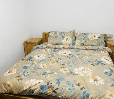 Vidra House | Căsuța Irina