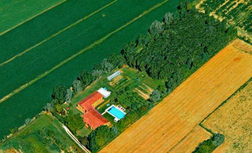 Olmo di Mira Apartment | CA' LEONE - Sans Souci - Apartment with Pool