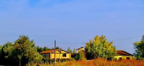 Olmo di Mira Apartment | CA' LEONE - Sans Souci - Apartment with Pool
