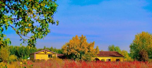 Olmo di Mira Apartment | CA' LEONE - Sans Souci - Apartment with Pool