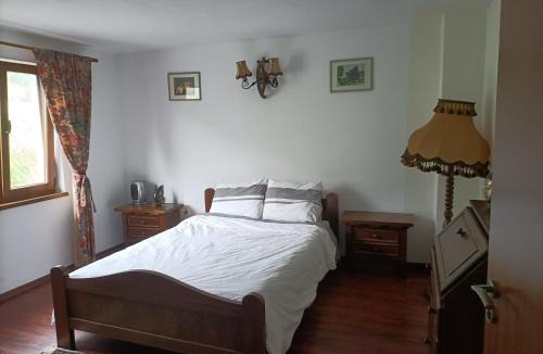 Cosbuc House | Cabana Țibleș