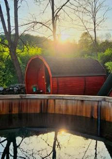 Fenes Cabin | Cabana Pietrar