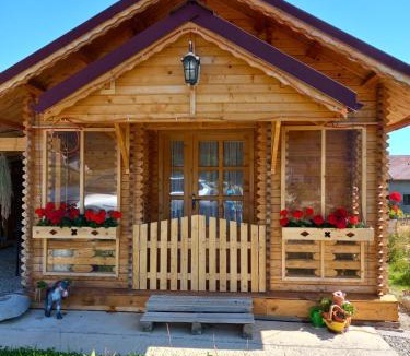 Bran Ski Chalet | Cabanuta Casuta din Povesti