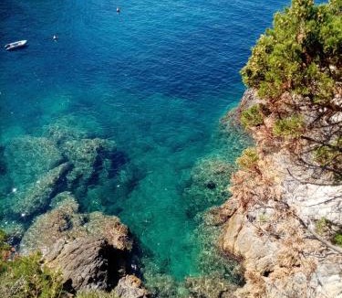 Cala Piccola House | Calapiccola Luxury apartment with the view on Giglio and Giannutri islands