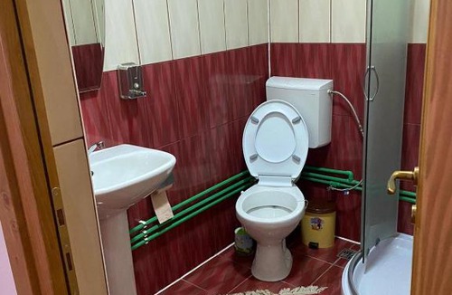Viseu de Sus House | Camere de închiriat Floarea reginei