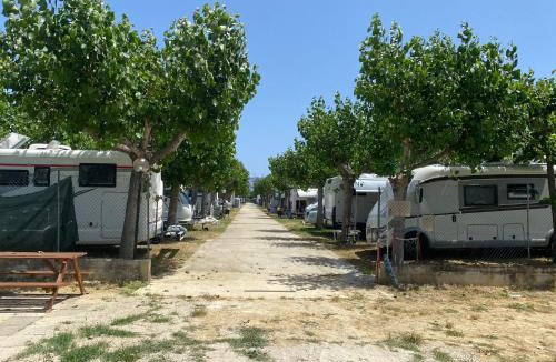 Villa Rosa Other | Camping Adriatico